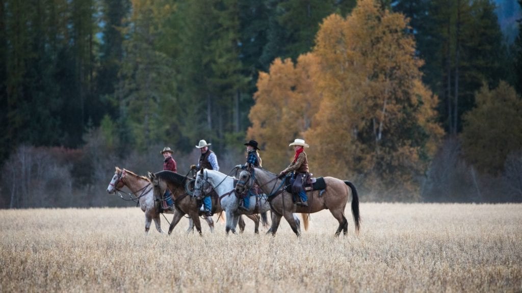 kuda dan penunggang kuda di sebuah lapangan di dude ranch Western Pleasure Guest Ranch