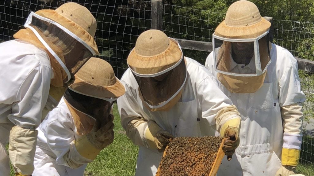 Teens may explore beekeeping at Carmel Valley Ranch (Photo: Carmel Valley Ranch)
