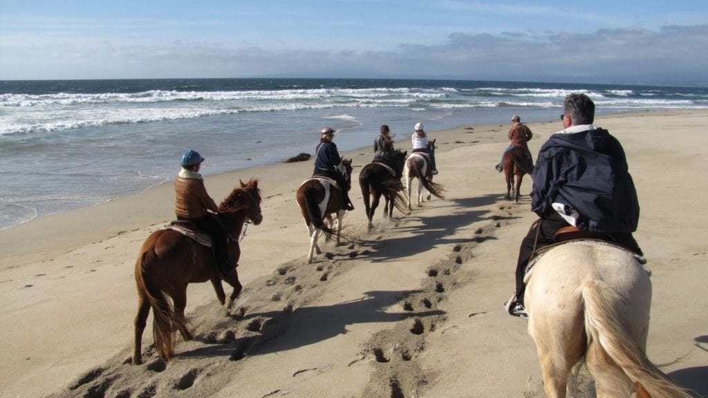 Salinas River – Beach Horseback Riding in Moss Landing