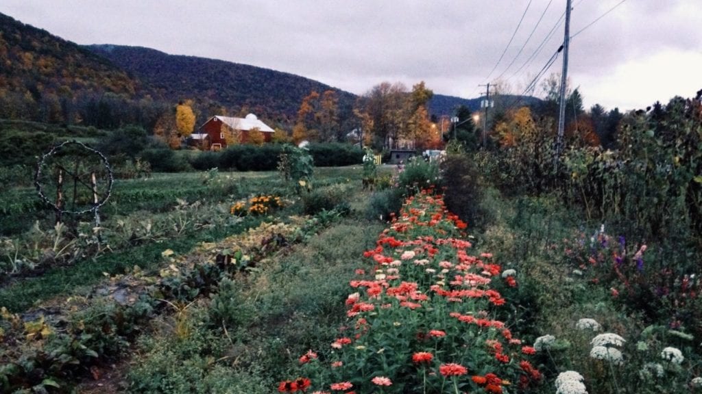 farm with rows of flowers and barn in the Catskills, one of the best vacation spots for couples