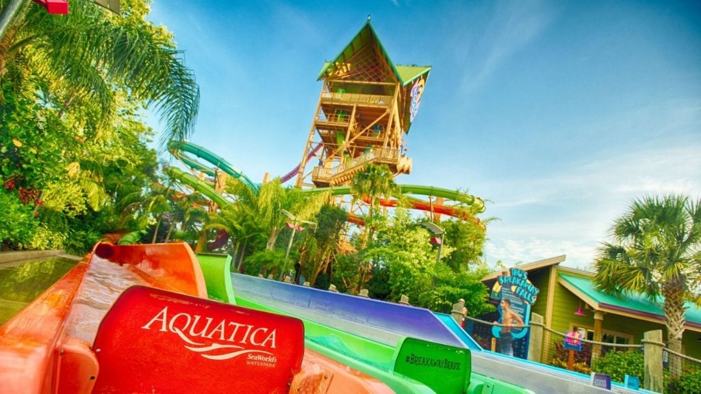 Aquatica is the best water park in Orlando for sea life lovers (Photo: Aquatica)