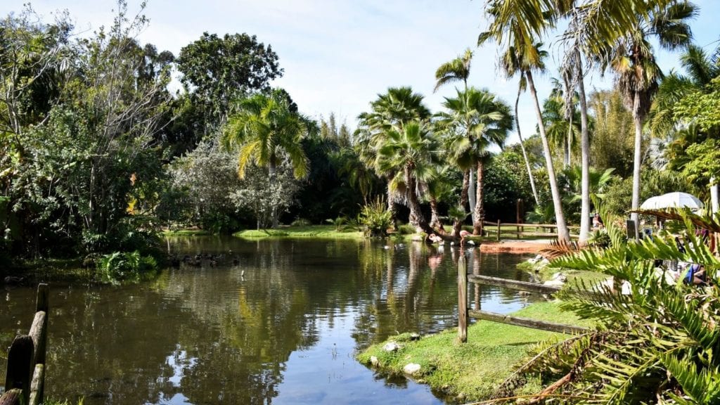 Sarasota Jungle Gardens (Photo: Visit Sarasota County)