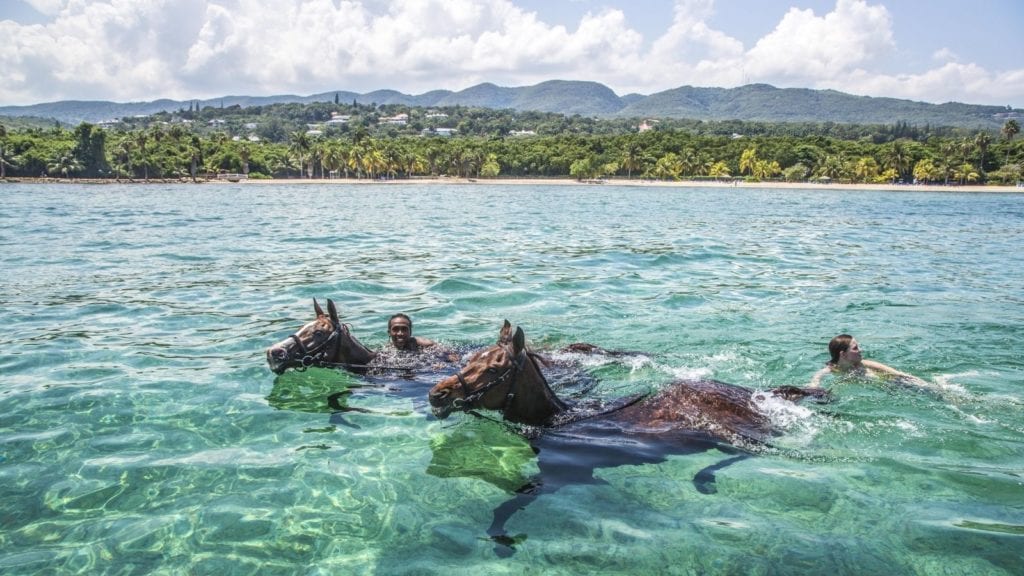Swimming with Horses at Half Moon All-Inclusive Family Resort (Photo: Half Moon)