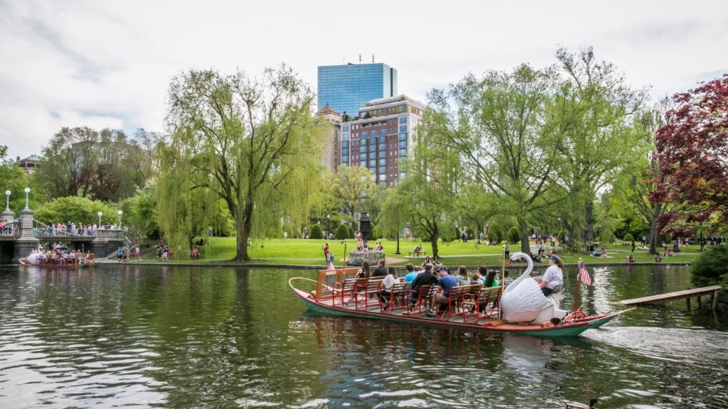 Swan boats at the Boston Public Garden (Photo: Kyle Klein/Boston USA)