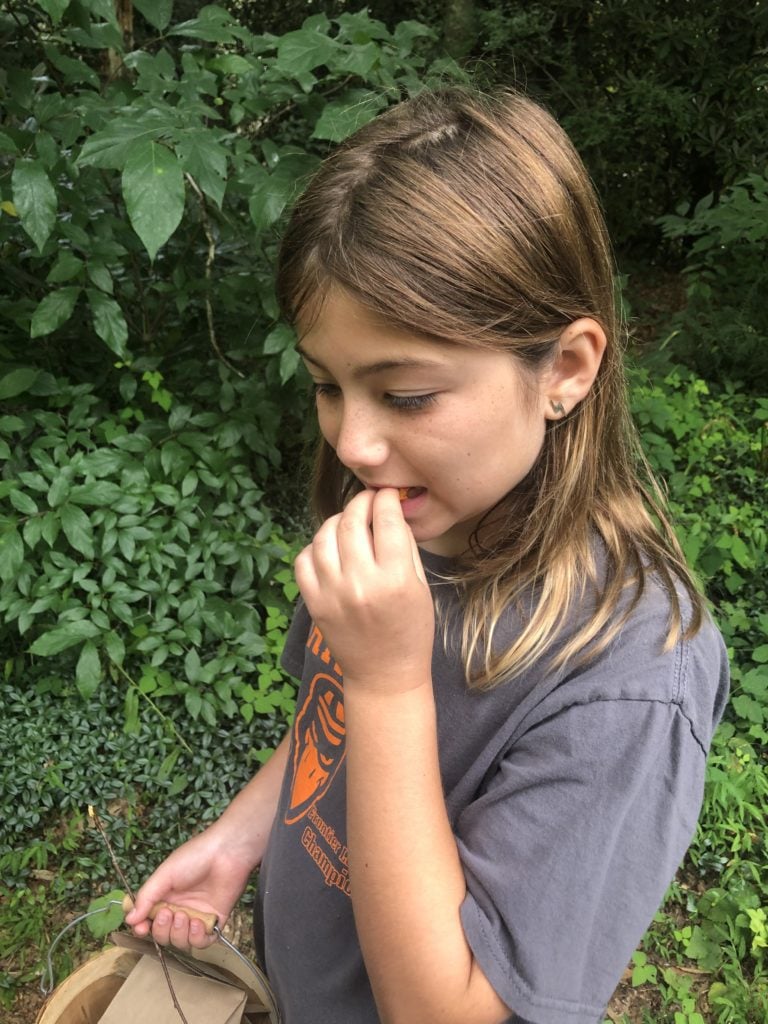 child trying a forest-foraged snack in Asheville, North Carolina