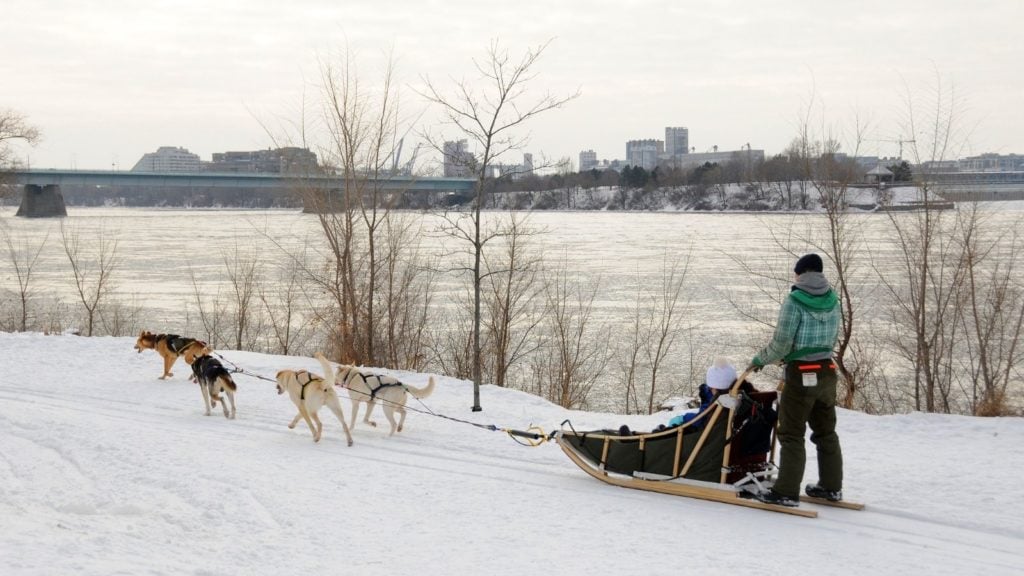 Kereta luncur anjing di Montreal, Kanada (Foto: Shutterstock)