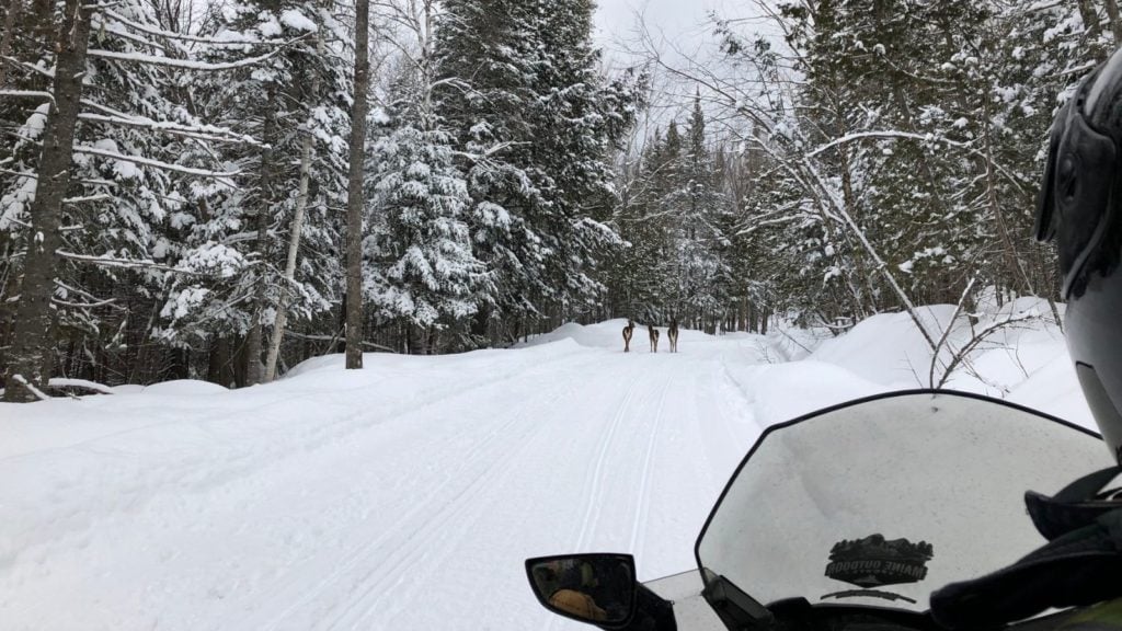 Snowmobiling in Western Maine (Photo: Northern Outdoors)
