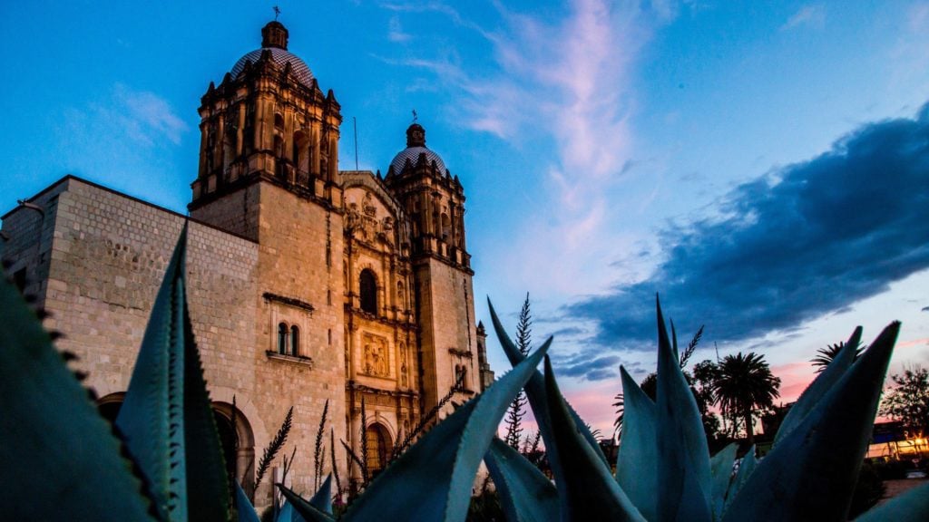 Cathedral and agave plant at dusk in Oaxaca