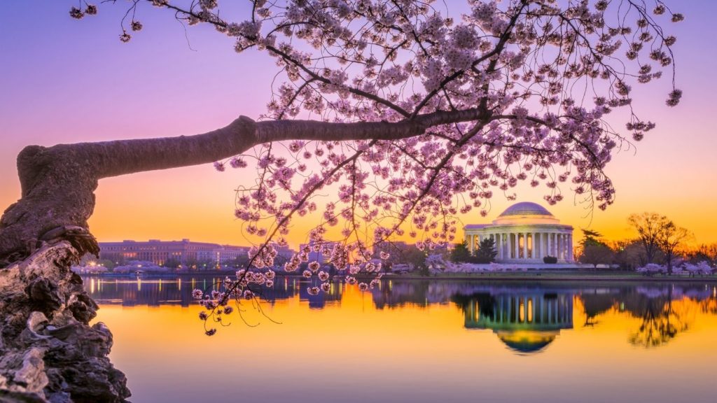Washington, D.C., Jefferson Memorial in spring (Photo: Shutterstock)