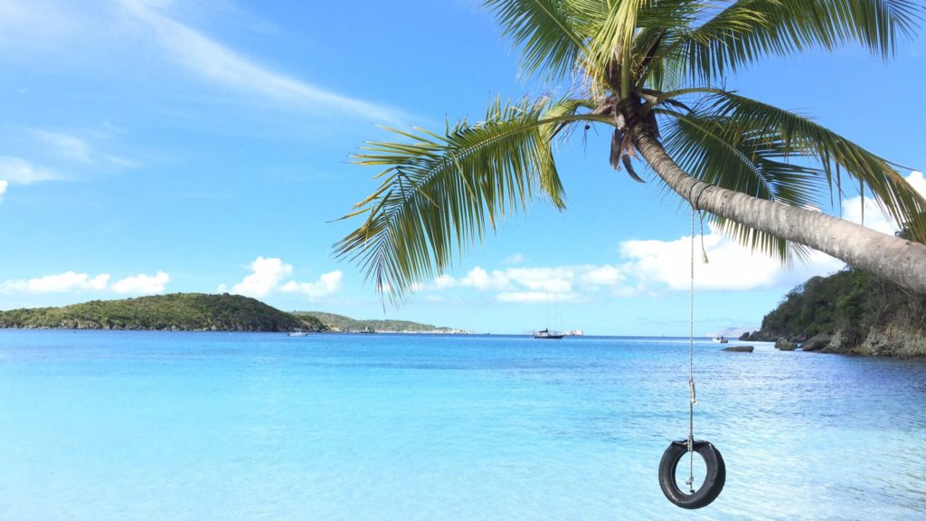 tire swing and palm tree over the water in USVI