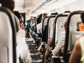Airplane Seats (Photo by Gerrie van der Walt on Unsplash)