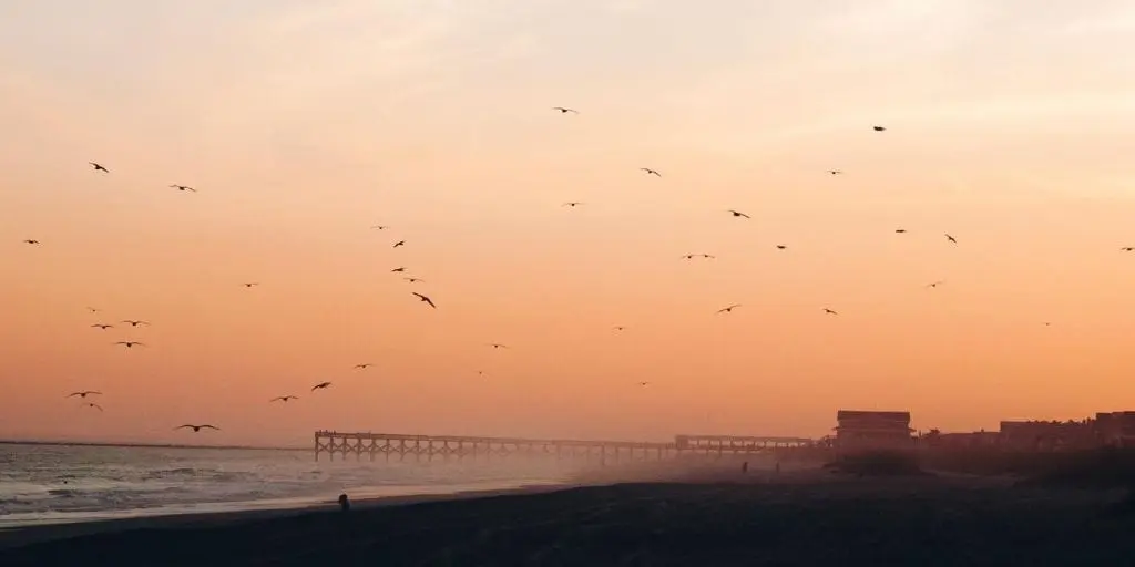birds and sky at great North Carolina family beach Wrightsville Beach