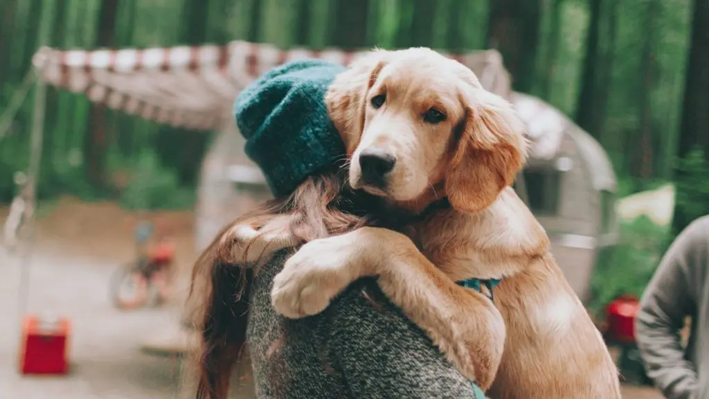 Woman camping with her dog (Photo: @crystalmariesing via Twenty20)