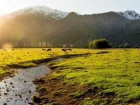 Argentina Patagonia Landscape