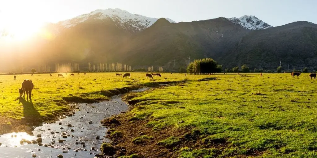 Argentina Patagonia Landscape