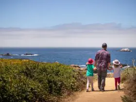 Walking among the wildflowers at Garrapata State Park in Monterey, California (Photo: Shutterstock)