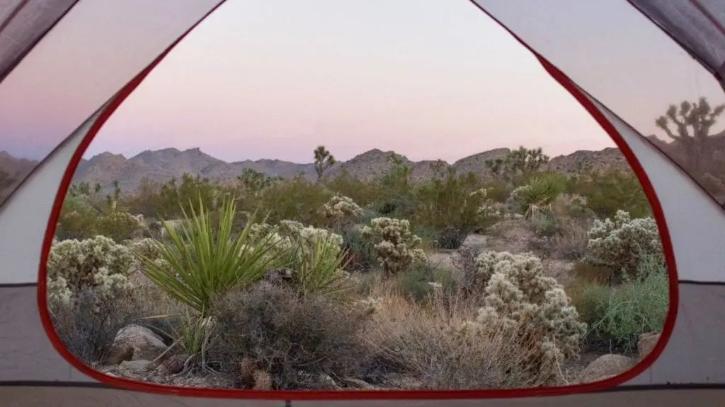 view from tent in Joshua Tree; national parks in spring
