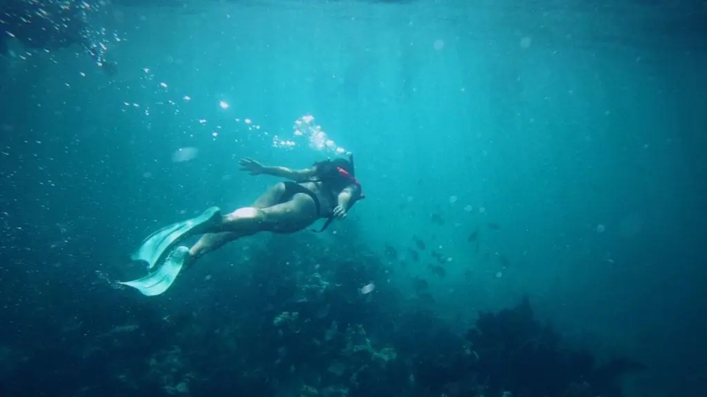 Snorkeling in Key Largo, Florida (Photo: @carbonem via Twenty20)