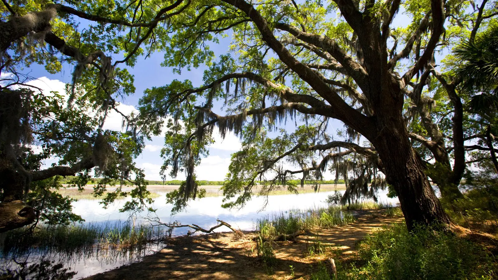 Botany Bay Plantation, Edisto Island, South Carolina (Photo: Perry Baker/DiscoverSouthCarolina.com)