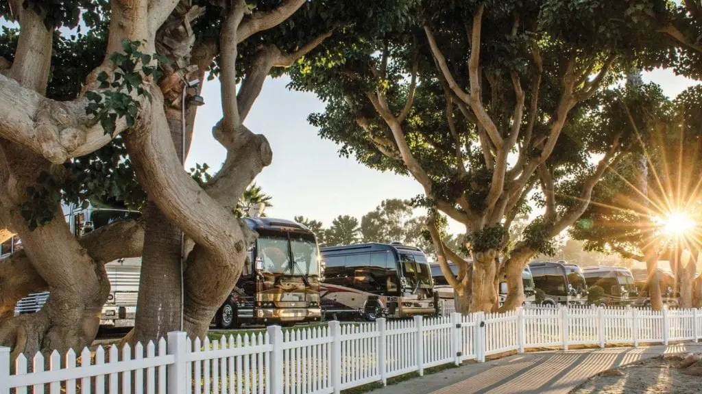 Sun shines through the trees at Newport Dunes RV Resort and Marina (Photo: Newport Dunes RV Resort and Marina)