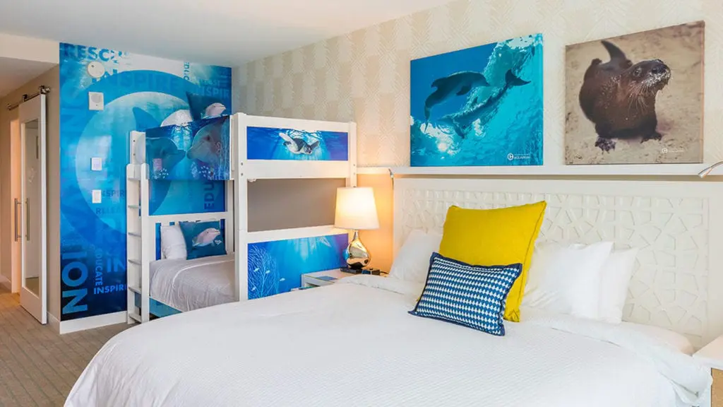 Winter the Dolphin Room at Wyndham Grand Clearwater Beach