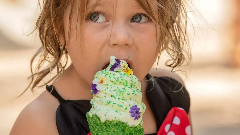 Food at Disney's Typhoon Lagoon water park in Orlando (Photo: Kent Phillips).jpg