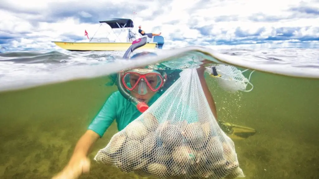 Hunting for scallops is one of the unique things you can do along Florida's Gulf Coast (Photo: Discover Crystal River Florida)