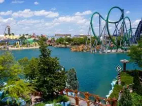 View of Universal Orlando from The Olive (Photo: @nnirodriguez via Twenty20)