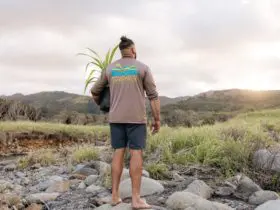 Kiai Collier of Hawaii Land Trust walks with a hala (pandanus) sapling to a reforestation site