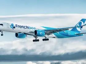 Frech bee airplane exterior view (Photo: French bee)