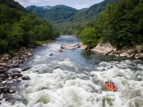 Whitewater rafting on the New River (Photo: Adventures on the Gorge)