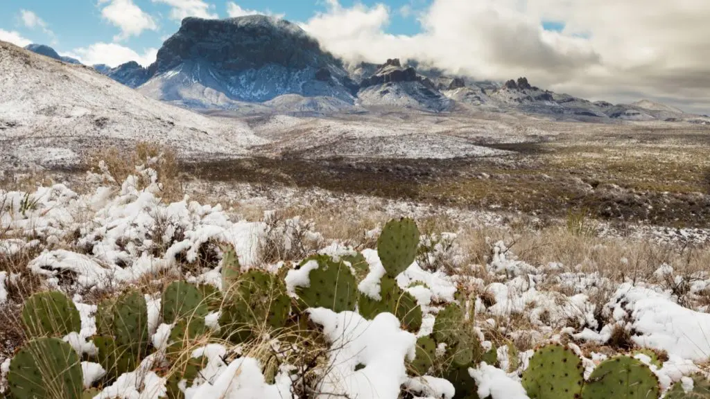Chihuahuan desert snow and Chisos Mountains in Big Bend National Park, Texas, USA (Photo: Shutterstock)