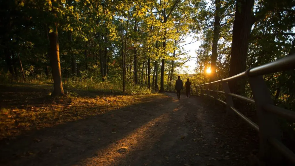 Hiking the Niagara Gorge Trail (Photo: Grant Taylor / Niagara Falls USA)