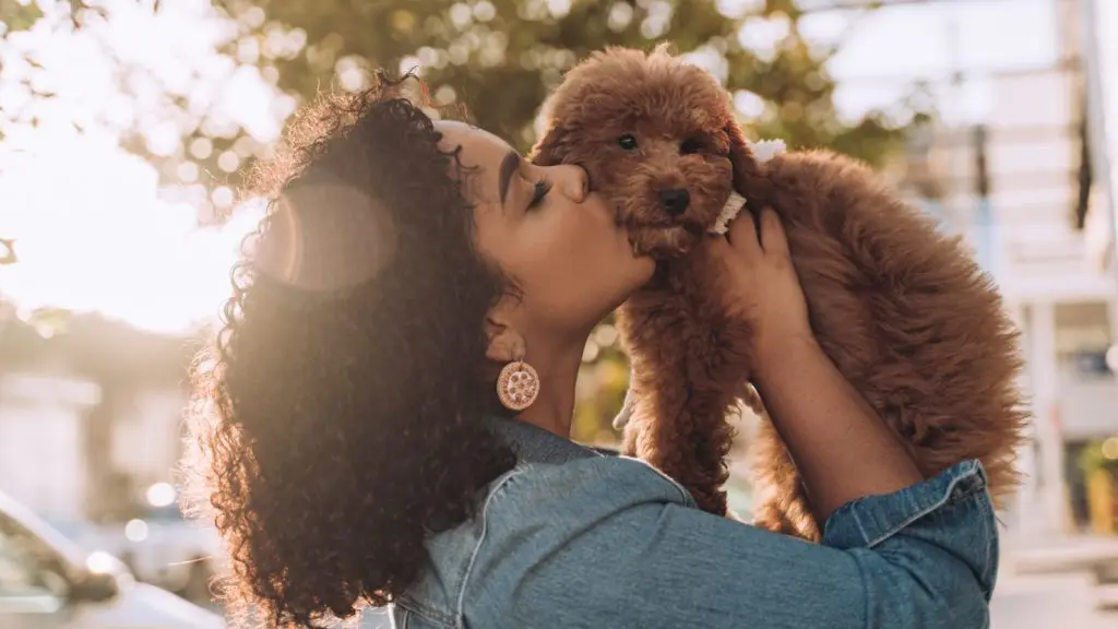Woman kissing puppy dog (Photo: @Elisall via Twenty20)