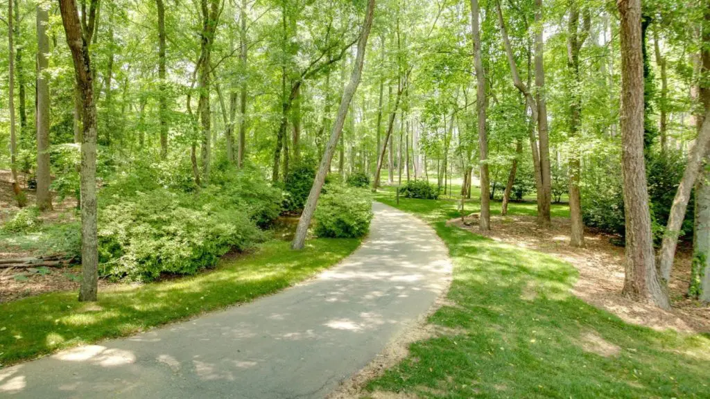 Nature preserve at Hotel Hartness (Photo: Hotel Hartness)