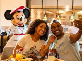 Disney World food options include table service and quick-service eateries (Photo: Matt Stroshane)