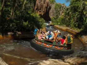 Many of the rides at Walt Disney World are well suited for all ages (Photo: Disney)