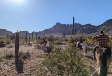 Horseback riders on a cactus-lined trail at White Stallion Ranch, an Arizona dude ranch