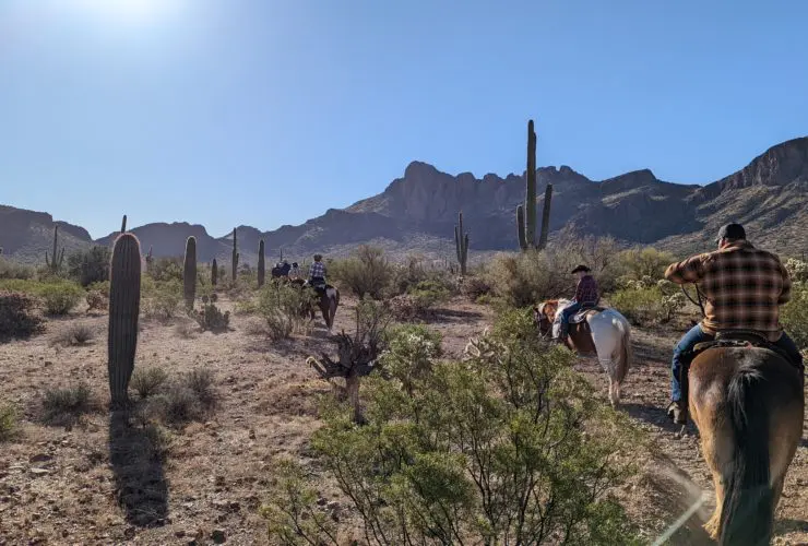 Horseback riders on a cactus-lined trail at White Stallion Ranch, an Arizona dude ranch
