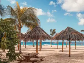 Barbados beach (Photo: @dora.istrazujee via Twenty20.)jpg