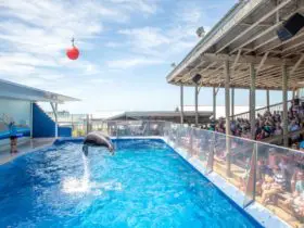 Gulfarium Marine Adventure Park in Fort Walton Beach (Photo: Gulfarium)