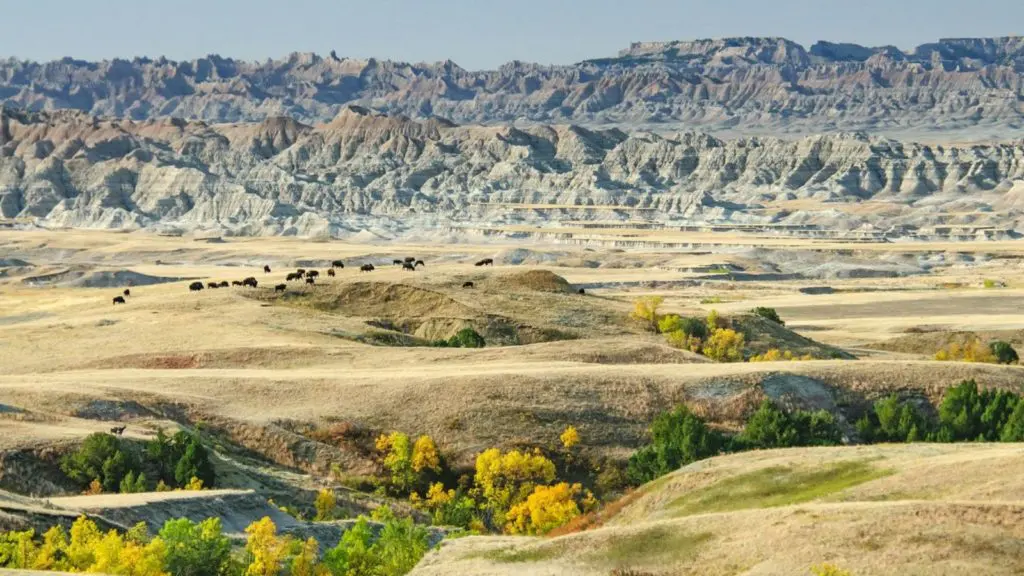 Badlands National Park's 244,000 acres protect bison, bighorn sheep, prairie dogs, and other animals (Photo: Travel South Dakota)