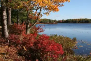 Fall colors light up Acadia National Park's historic carriage roads (Photo: National Park Service)