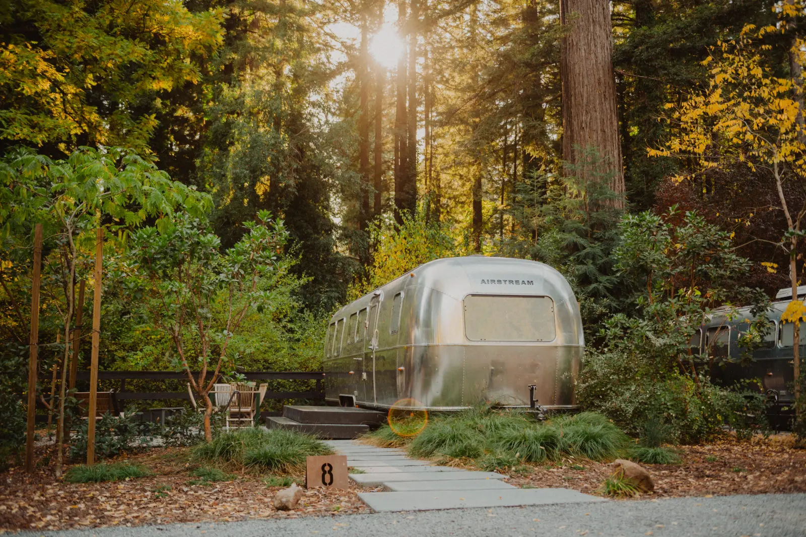 Airstream trailer surrounded by redwood trees and forest at AutoCamp Russian River