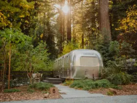 Airstream trailer surrounded by redwood trees and forest at AutoCamp Russian River