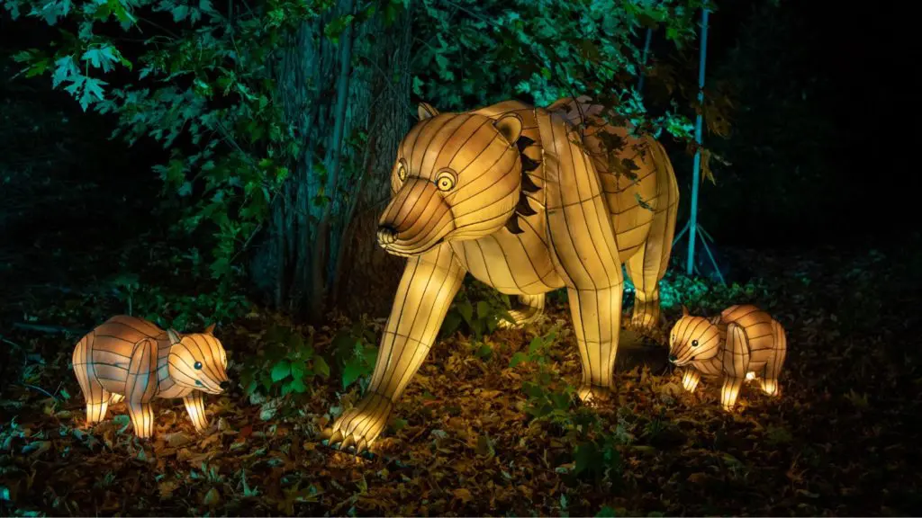 Holiday lights at the Bronx Zoo (Photo: Julie Larsen Maher)