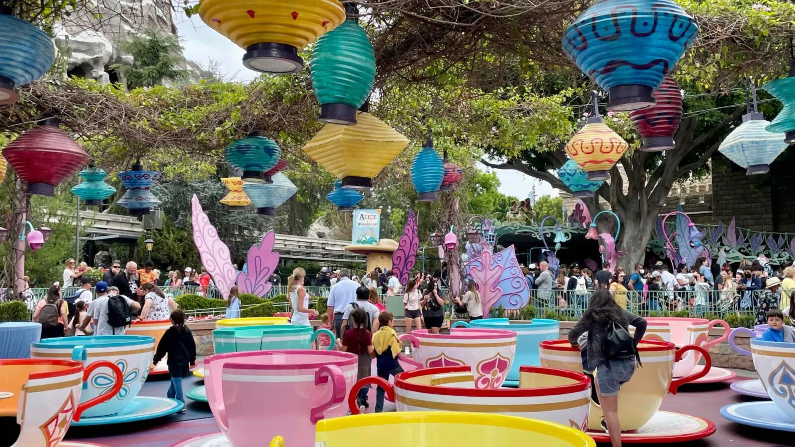teacups ride at Disney