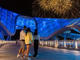 TRON Lightcycle/Run at night (Photo: Disney)