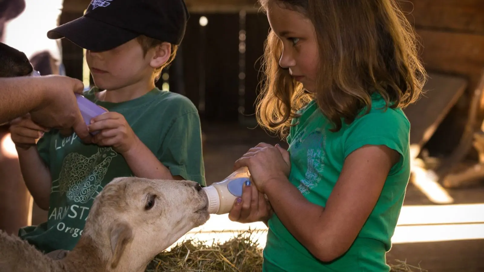Feeding a baby farm animal at Leaping Lamb Farm (Photo: Leaping Lamb Farm)