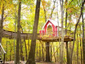 Little Red Treehouse at the treehouse hotel The Mohicans
